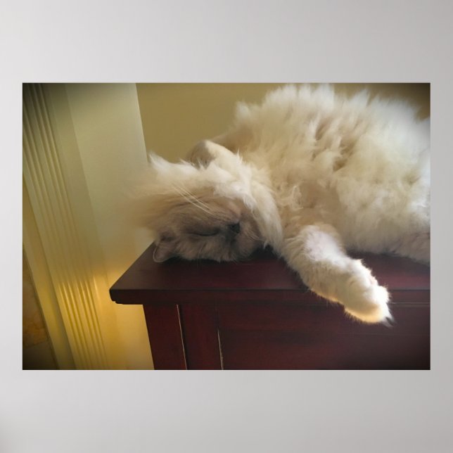 Slow Days, Poster (Front)