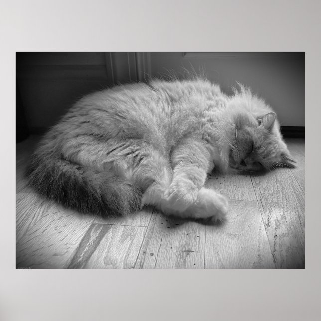 Slow Days, Poster (Front)