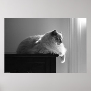 Slow Days, Poster