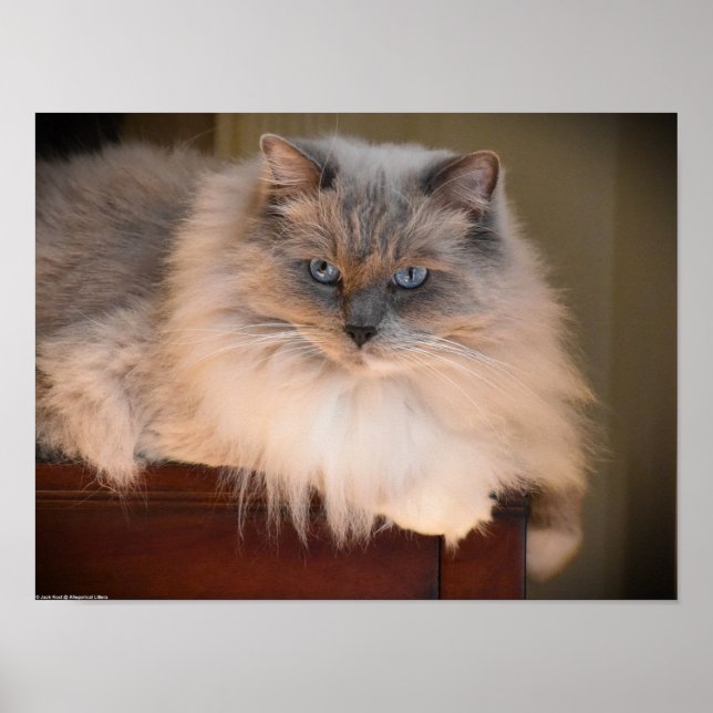 Slow Days, Poster (Front)