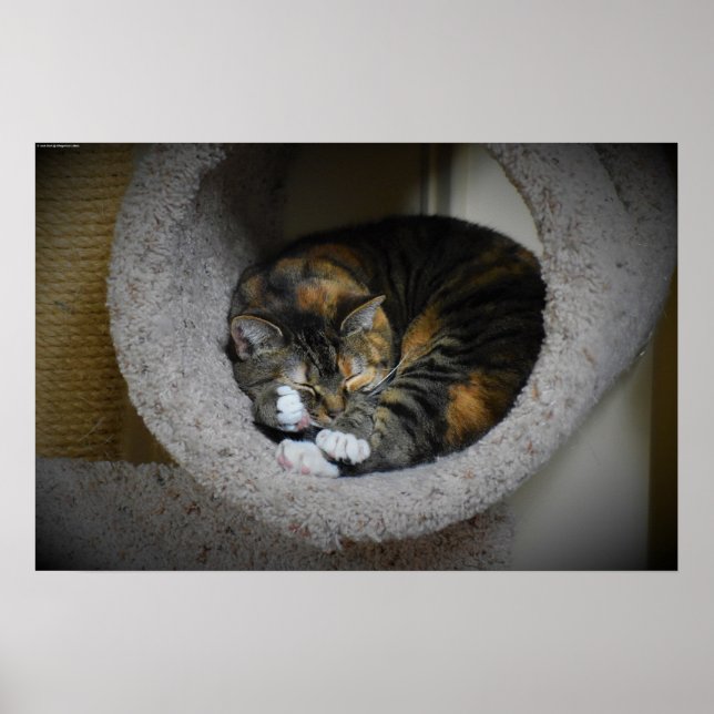 Slow Days, Poster (Front)