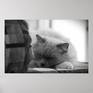Slow Days, Poster