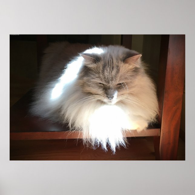 Slow Days, Poster (Front)