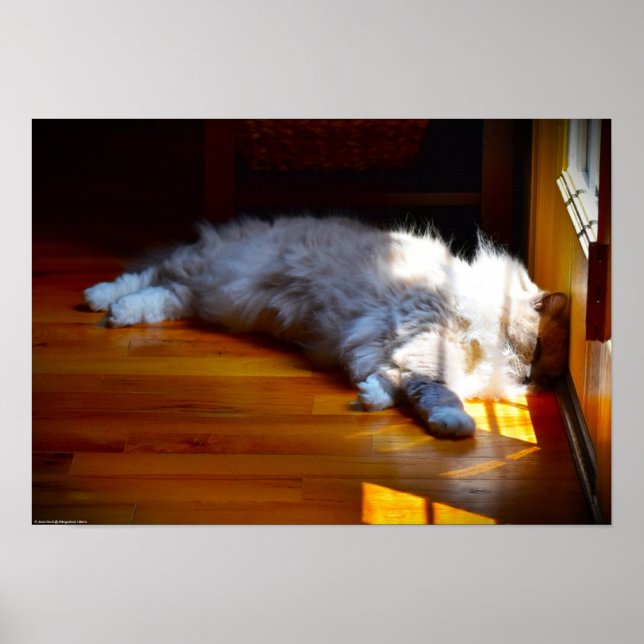 Slow Days, Poster (Front)