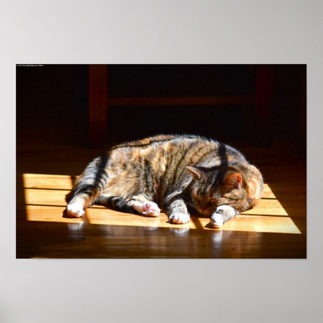 Slow Days, Poster (Front)