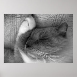 Slow Days, Poster