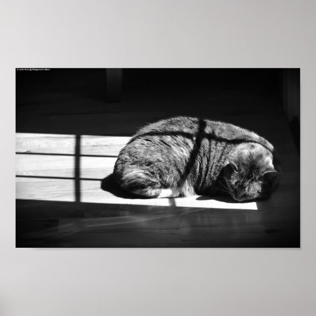 Slow Days, Poster (Front)