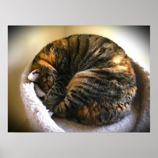 Slow Days, Poster (Front)