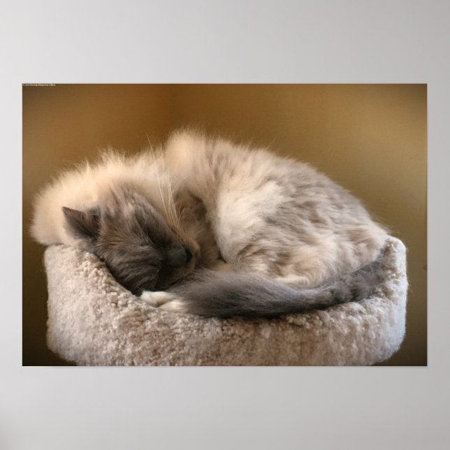 Slow Days, Poster (Front)