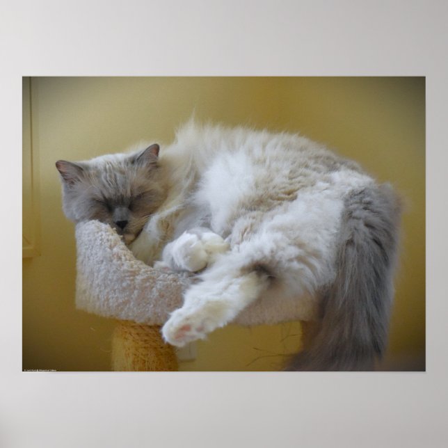 Slow Days, Poster (Front)