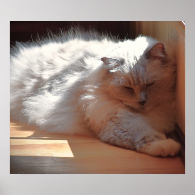 Slow Days, Poster (Front)