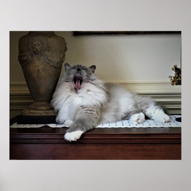 Slow Days, Poster (Front)