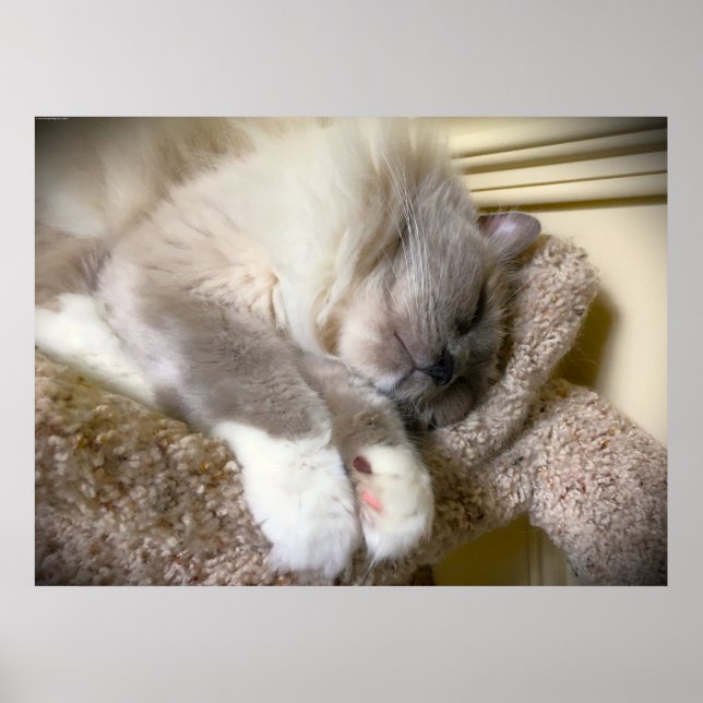 Slow Days, Poster (Front)