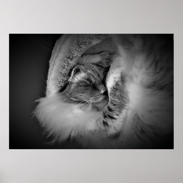 Slow Days, Poster (Front)