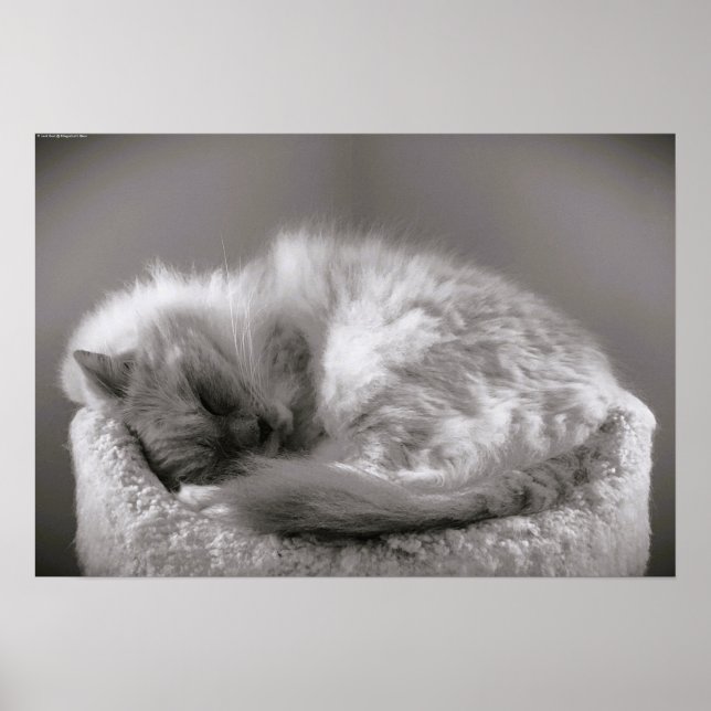 Slow Days, Poster (Front)