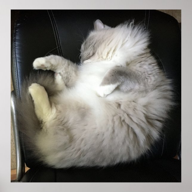 Slow Days, Poster (Front)