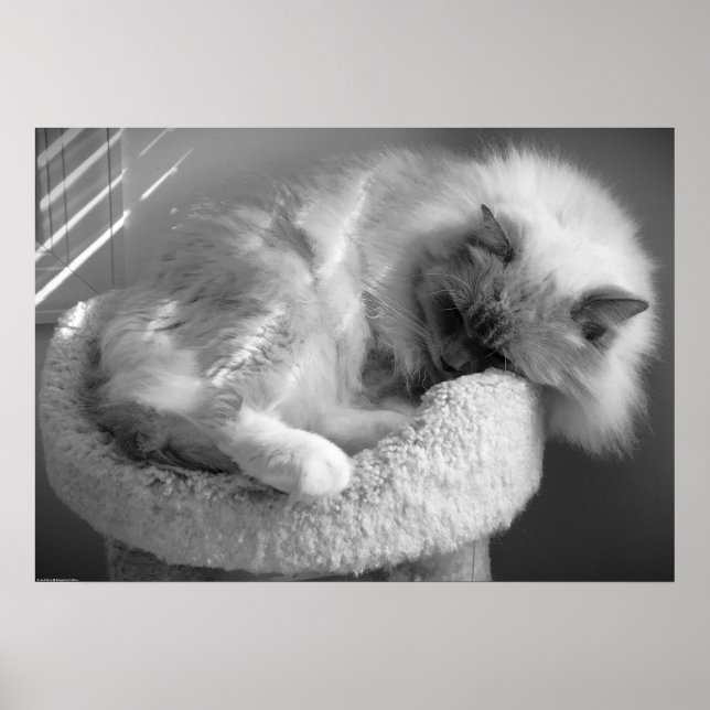 Slow Days, Poster (Front)