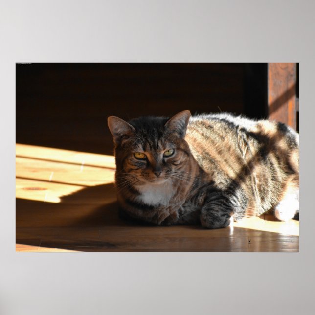 Slow Days, Poster (Front)