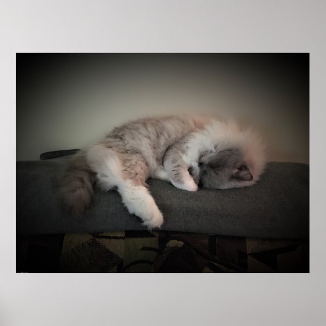 Slow Days, Poster (Front)