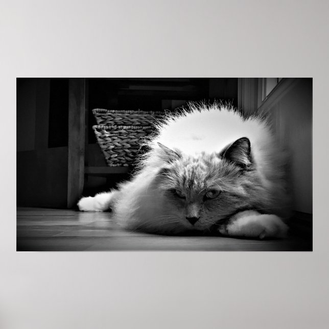 Slow Days, Poster (Front)