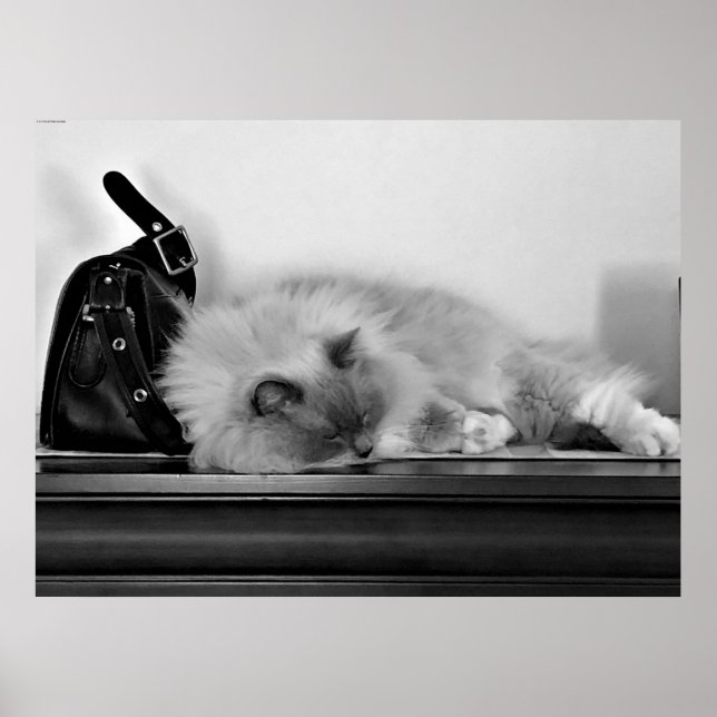 Slow Days, Poster (Front)