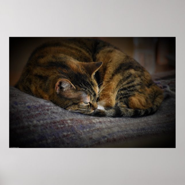 Slow Days, Poster (Front)