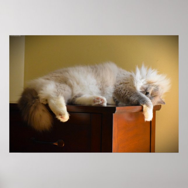 Slow Days, Poster (Front)