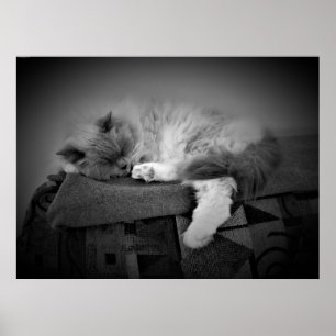 Slow Days, Poster