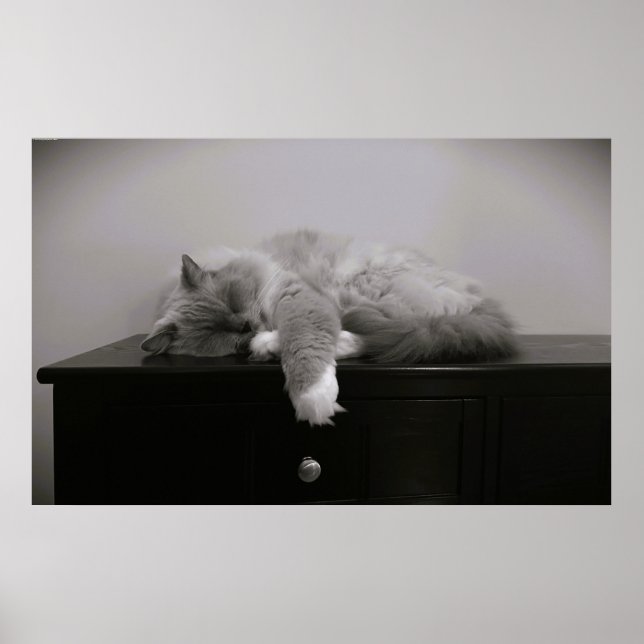 Slow Days, Poster (Front)