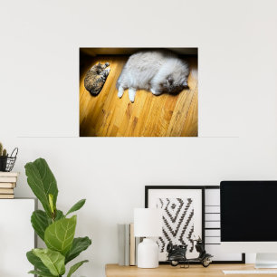 Slow Days, Poster