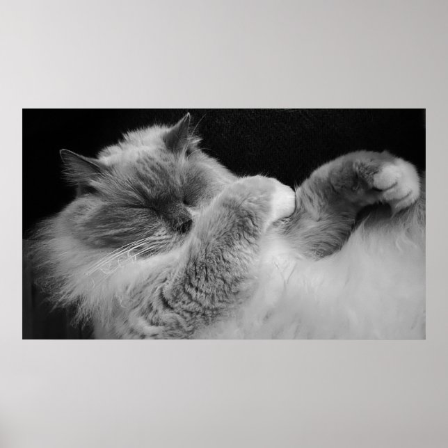 Slow Days, Poster (Front)