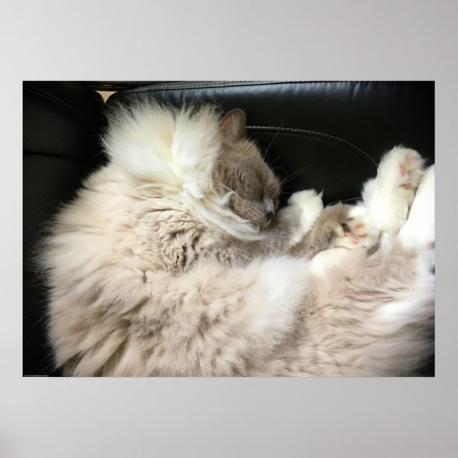 Slow Days, Poster (Front)