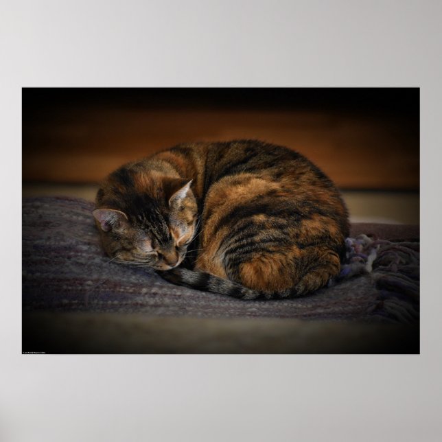 Slow Days, Poster (Front)