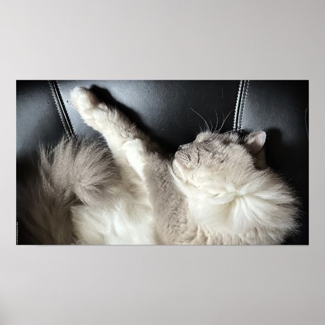 Slow Days, Poster (Front)