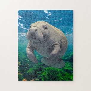 Slow Down and Drift for Manatee Inspired Jigsaw Puzzle