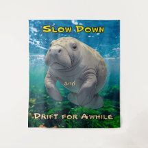 Slow Down and Drift for Manatee Inspired