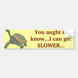 SLOW DOWN? BUMPER STICKER