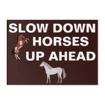 slow down HORSES UP AHEAD