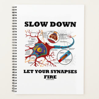 Slow Down Let Your Synapses Fire Neuron Synapse Planner