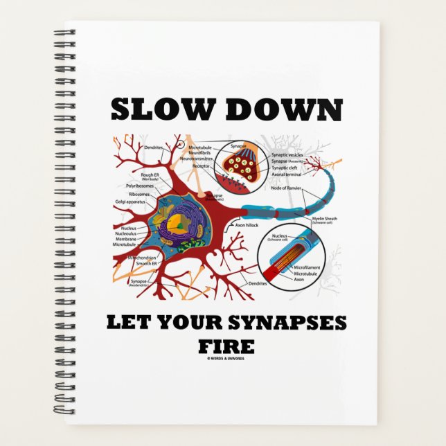 Slow Down Let Your Synapses Fire Neuron Synapse Planner (Front)