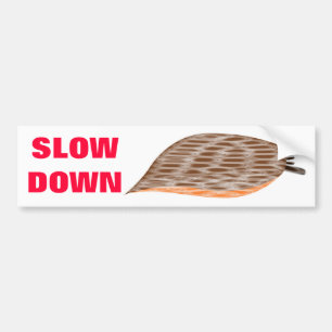 Slow Down Slug Bumper Sticker