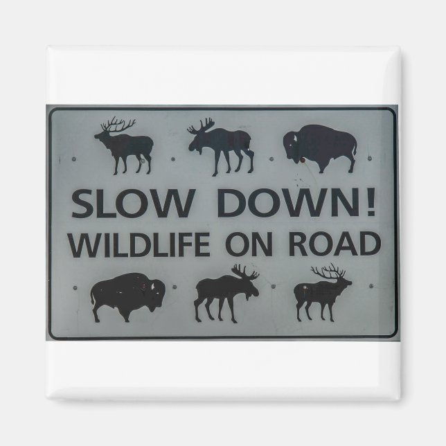 Slow Down! Wildlife on the road Magnet (Front)