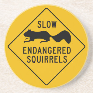 Slow Endangered Squirrels, Warning Sign, Maryland Coaster