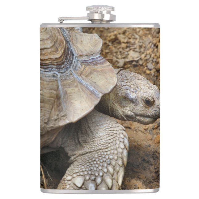 Slow Hip Flask (Front)
