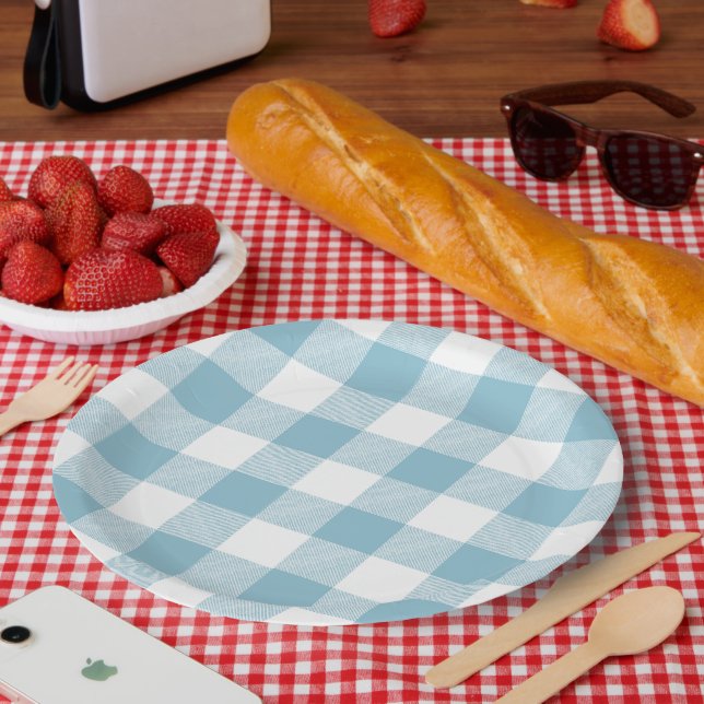 Slow-Living Ice Blue Check Paper Plate (Picnic)