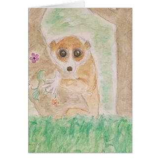 slow loris