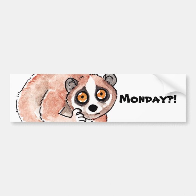 Slow Loris Bumper Sticker (Front)