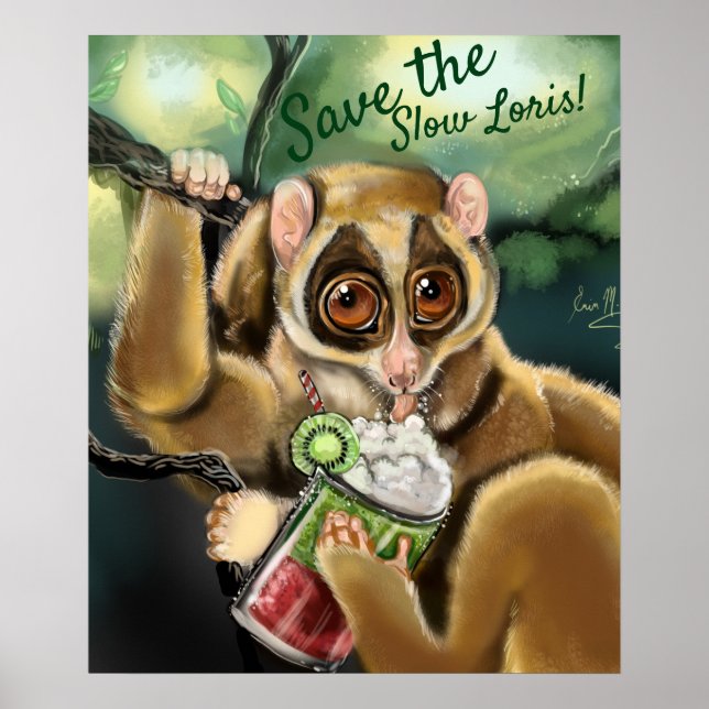 Slow Loris Smoothie Poster (Front)