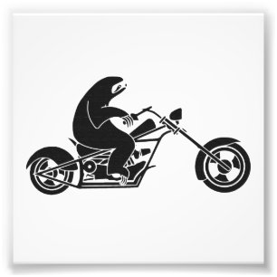 Slow Sloth On A Fast Bike Photo Print