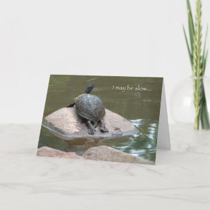 slow turtle birthday card